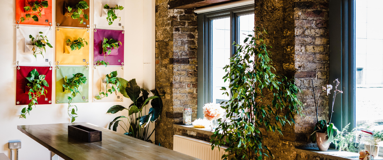 Beyond Aesthetics: The Real ROI of Plants on Workplace Wellbeing