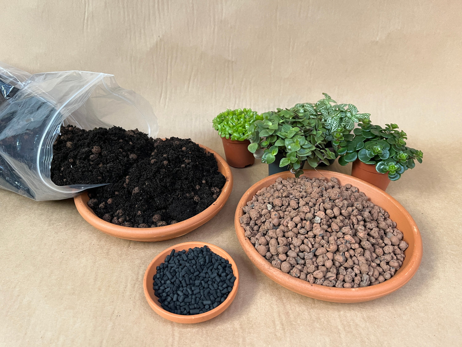 Terrarium Plants, Soil, Drainage and Charcoal