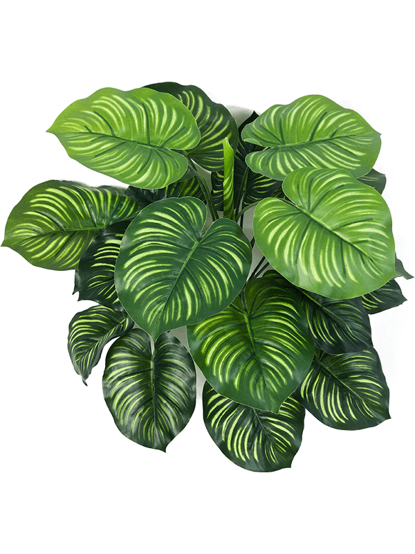 Artificial Calathea - 45cm