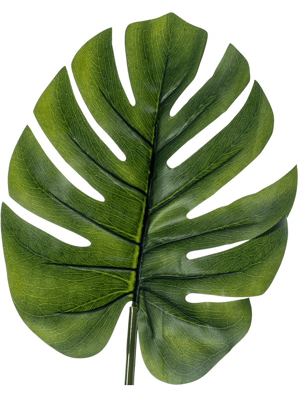 Artificial Monstera Leaf