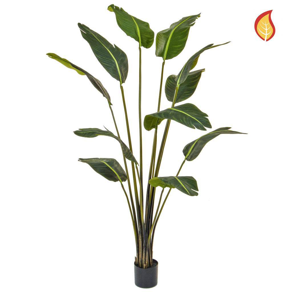 Artificial Bird of Paradise - 180cm (Fire Resistant)