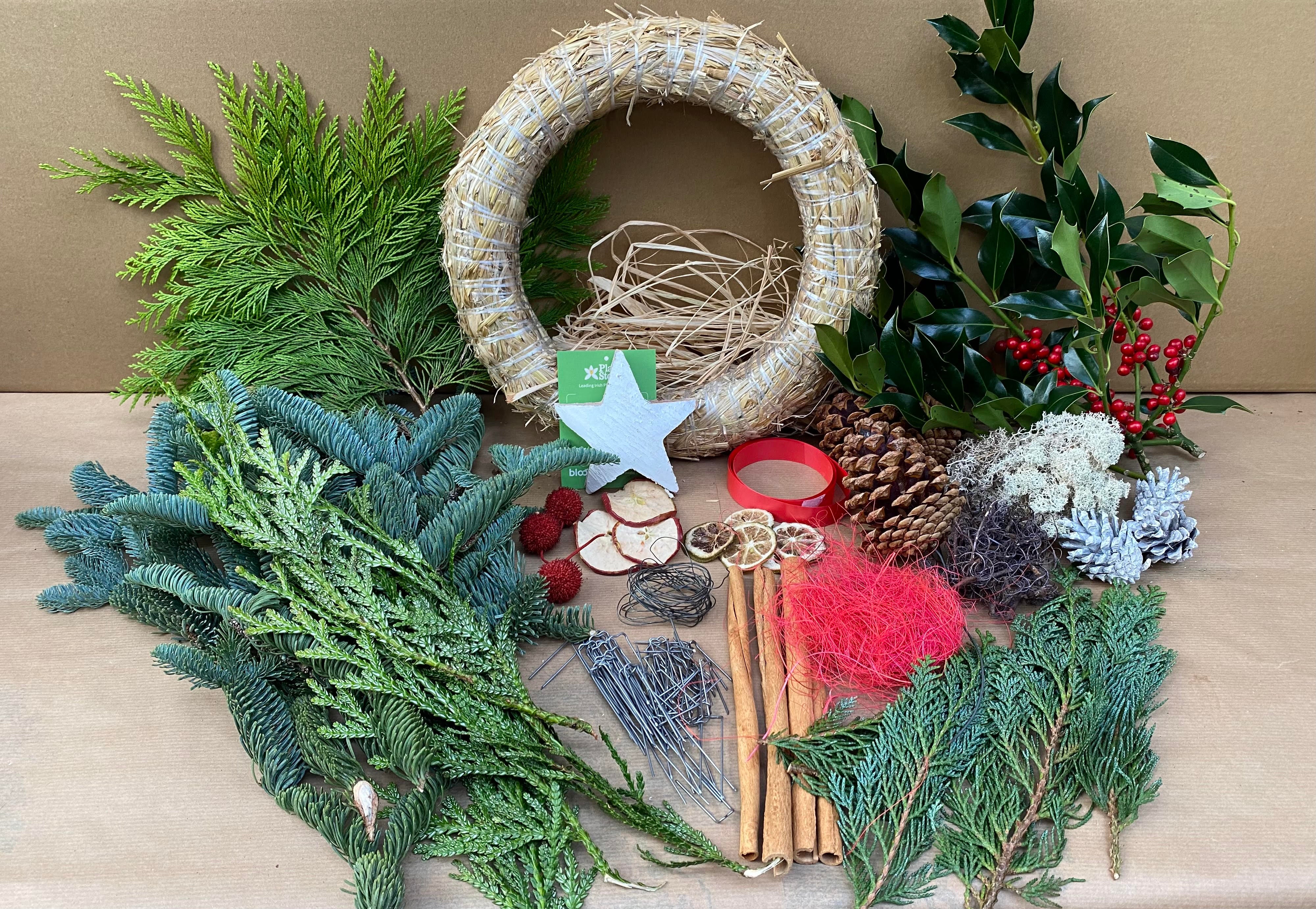 The best DIY Christmas wreath kits for 2023